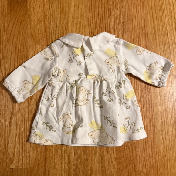 ABSOLUTELY PRECIOUS Baby Girl Easter Bunny Dress & Diaper Cover - Picture 4 of 9
